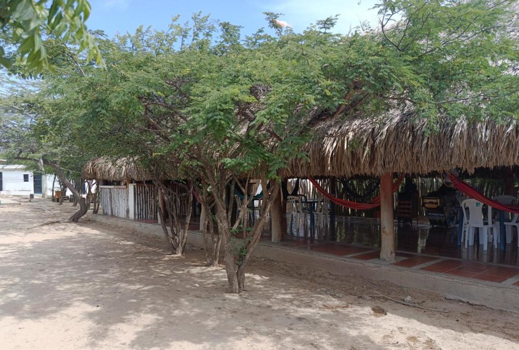 un edificio con techo de paja y algunos árboles en Hostal CQ Camarones, en Camarones