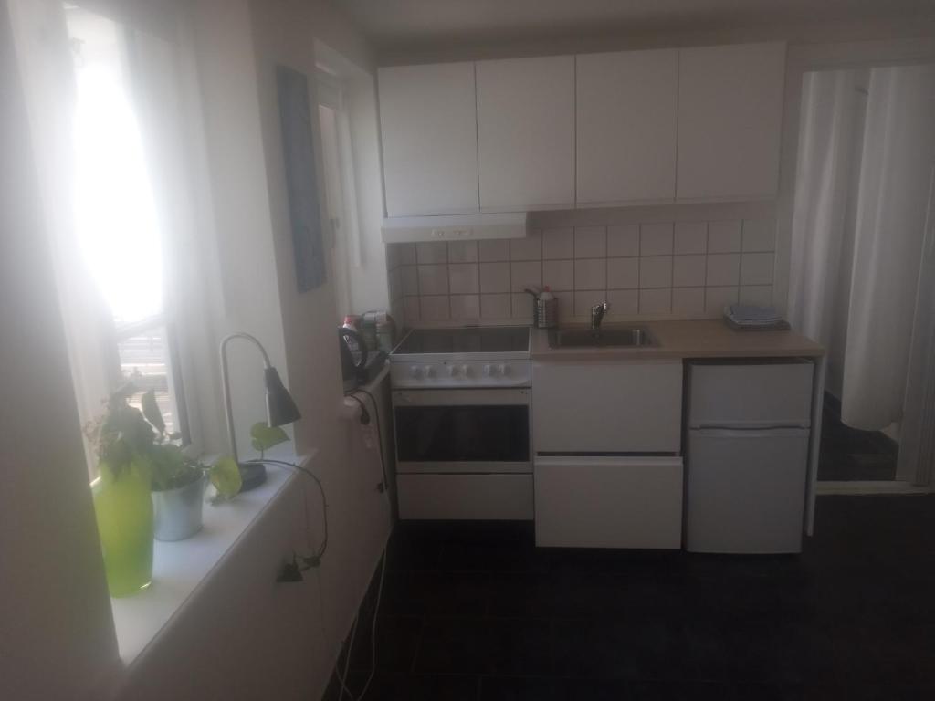 Kuchyň nebo kuchyňský kout v ubytování Professor Labri Apartments