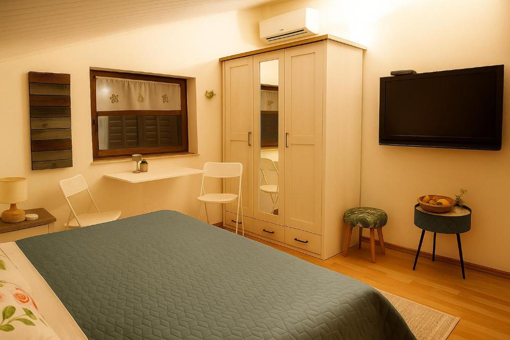 TV a/nebo společenská místnost v ubytování Apartment Tezak