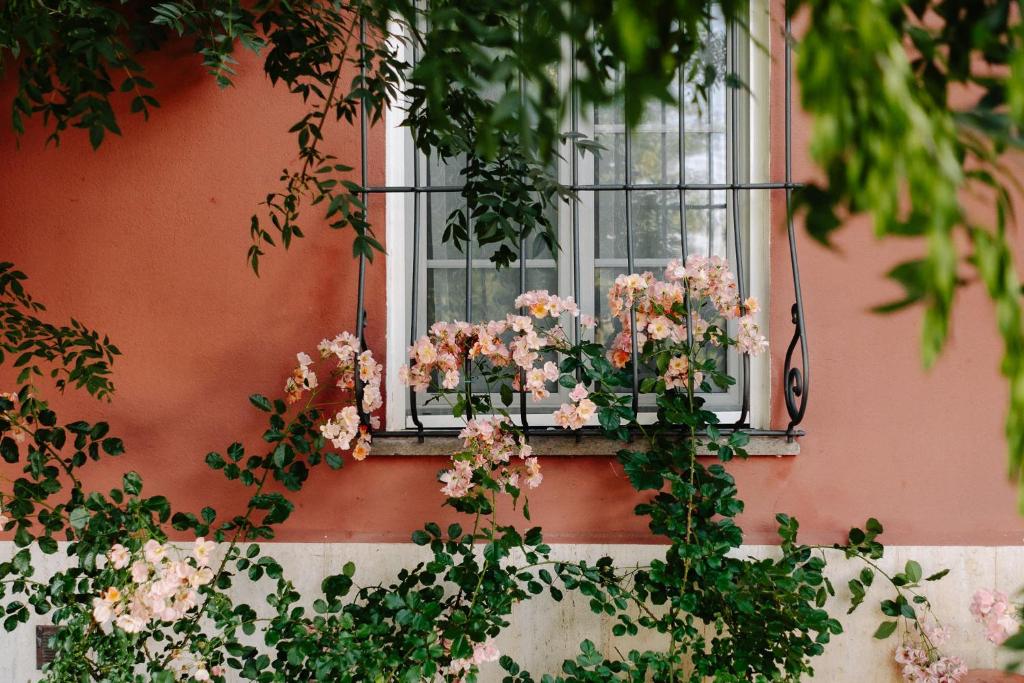 Il Casale delle Rose - 14