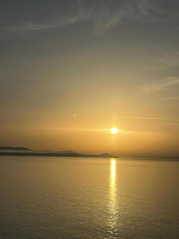 un coucher de soleil sur une masse d'eau dans l'établissement L'anguille du port, à Port-la-Nouvelle