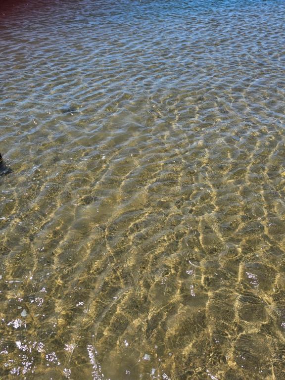 un groupe de roches dans l'eau dans l'établissement Le barracuda du port, à Port-la-Nouvelle