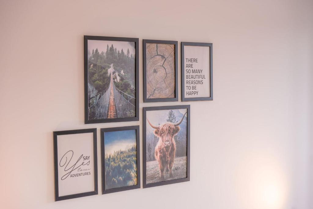 Fotografie z fotogalerie ubytování Ferienwohnung Chiemgauglück v destinaci Traunstein
