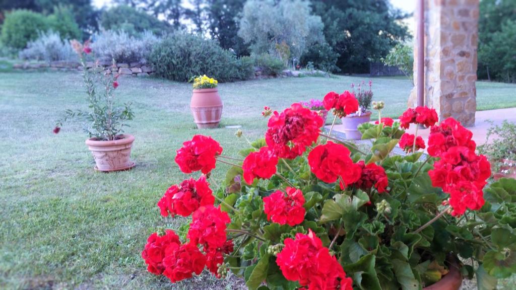 A garden outside Agriturismo Bonzalone