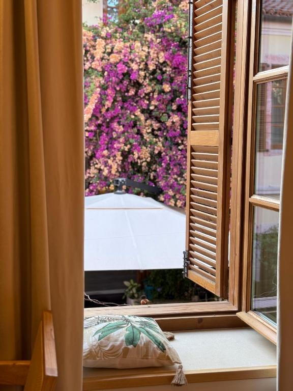 Zahrada ubytování Old Town Suites Muradie