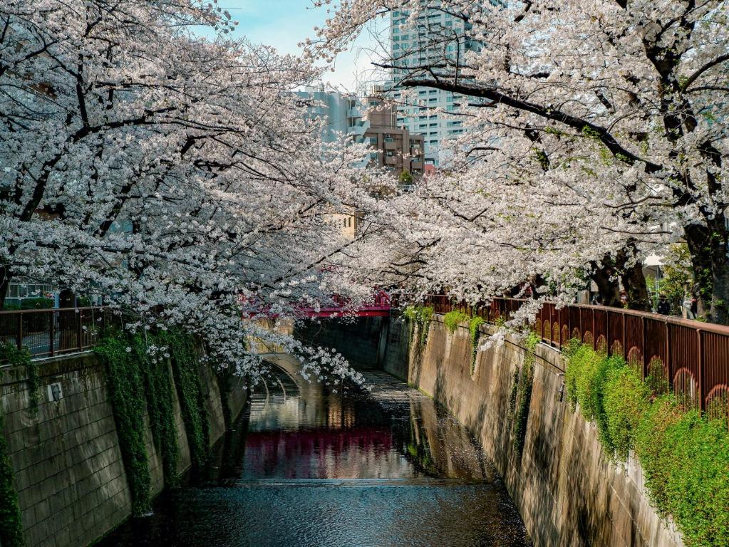 Fotografie z fotogalerie ubytování illi Pal Gotanda v Tokiu