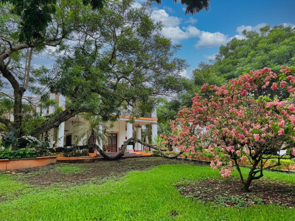 Zahrada ubytování Finca Garullo Hotel Boutique