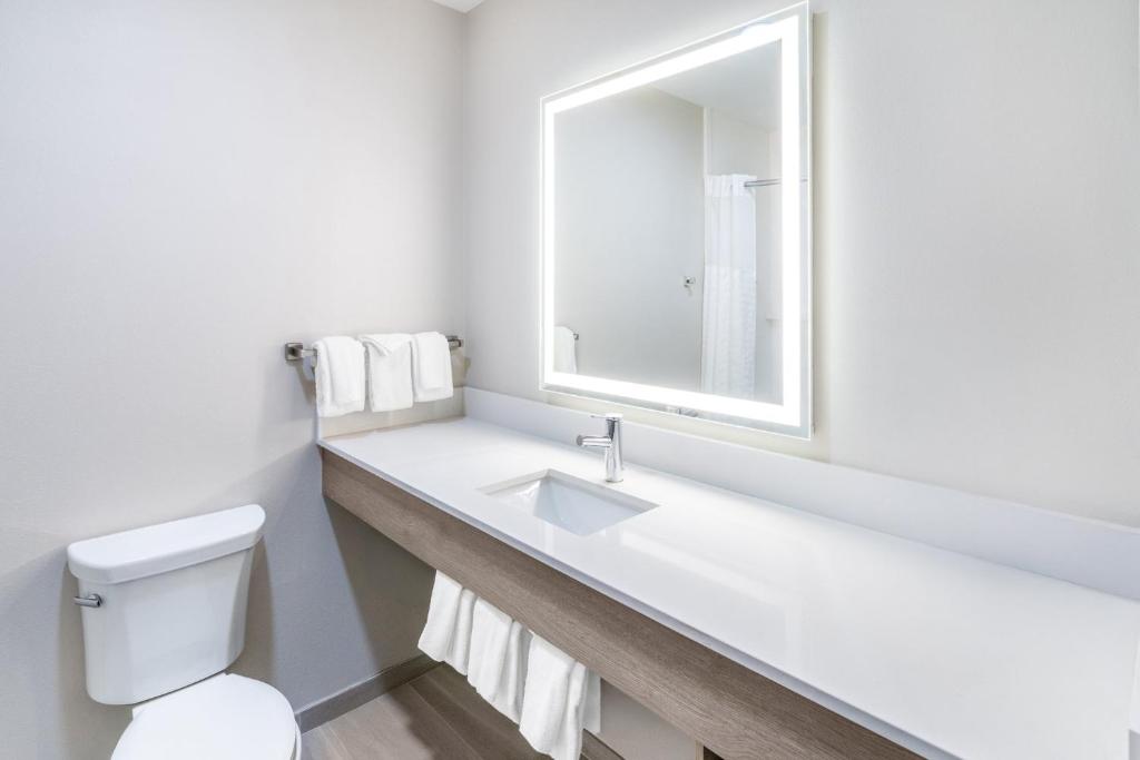 Holiday Inn Express & Suites Denver North - Thornton by IHG - Habitación Estándar King