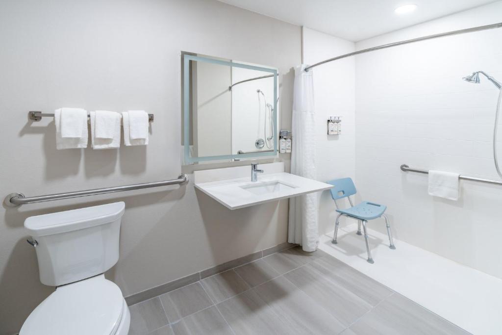 Holiday Inn Express & Suites Denver North - Thornton by IHG - King Room - Hearing Accessible - Roll-in Shower