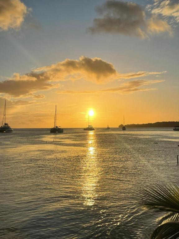 Vahinui lodge, Bora Bora - photo 12 - Bora Bora, Polynésie