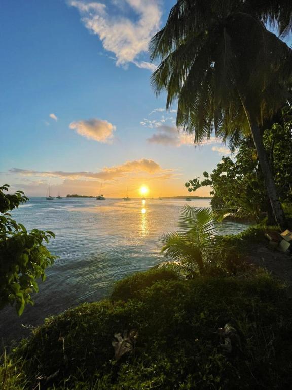Vahinui lodge, Bora Bora - photo 6 - Bora Bora, Polynésie