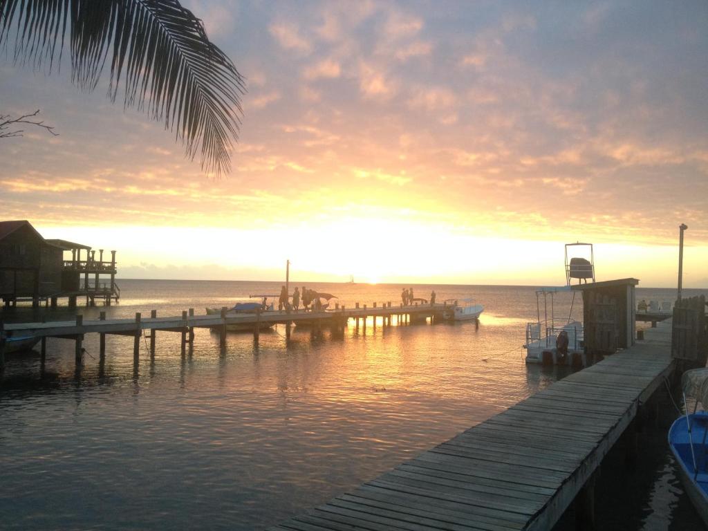 a dock in the water with a sunset in the background at Splash Inn Dive Resort & Villas in West End