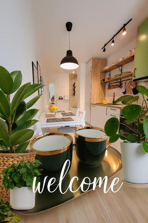 a kitchen with potted plants and a sign welcome at Babalina's Place in Bihać