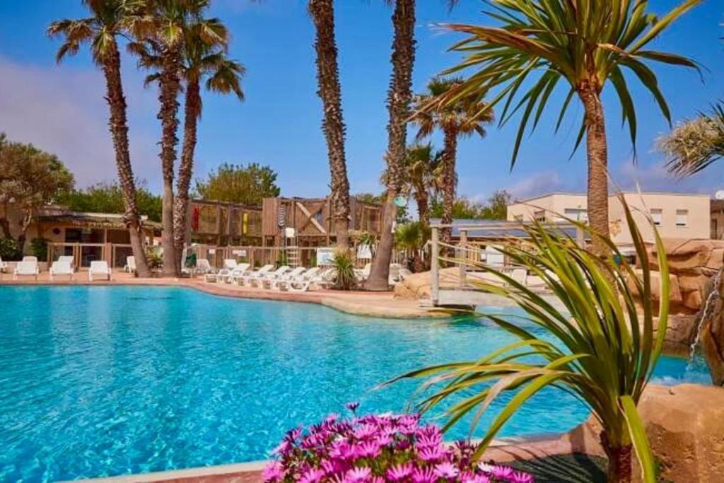 - une piscine bordée de palmiers et de fleurs violettes dans l'établissement Mobile Home Camping Marvilla Parks Le Petit Mousse F41, à Vias