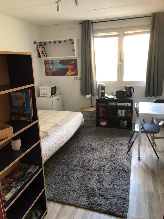 une chambre avec un lit, un bureau et une fenêtre dans l'établissement Jungle Art Studio Colmar, à Colmar