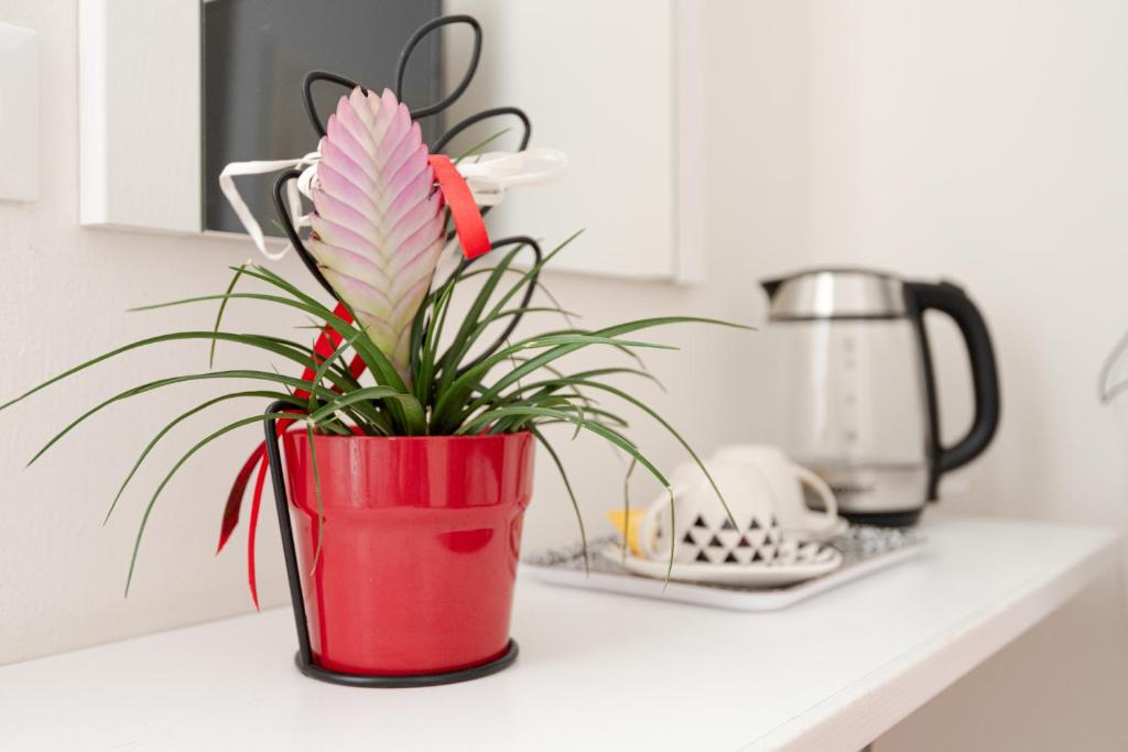 Florence Comfort B&B - 9