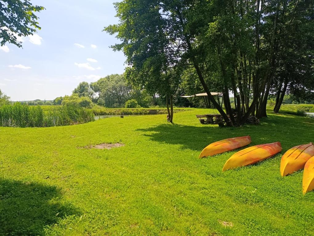 Ogród w obiekcie Agroturystyka domki nad rzeką Bałtów kajaki rowery klima basen ryby full
