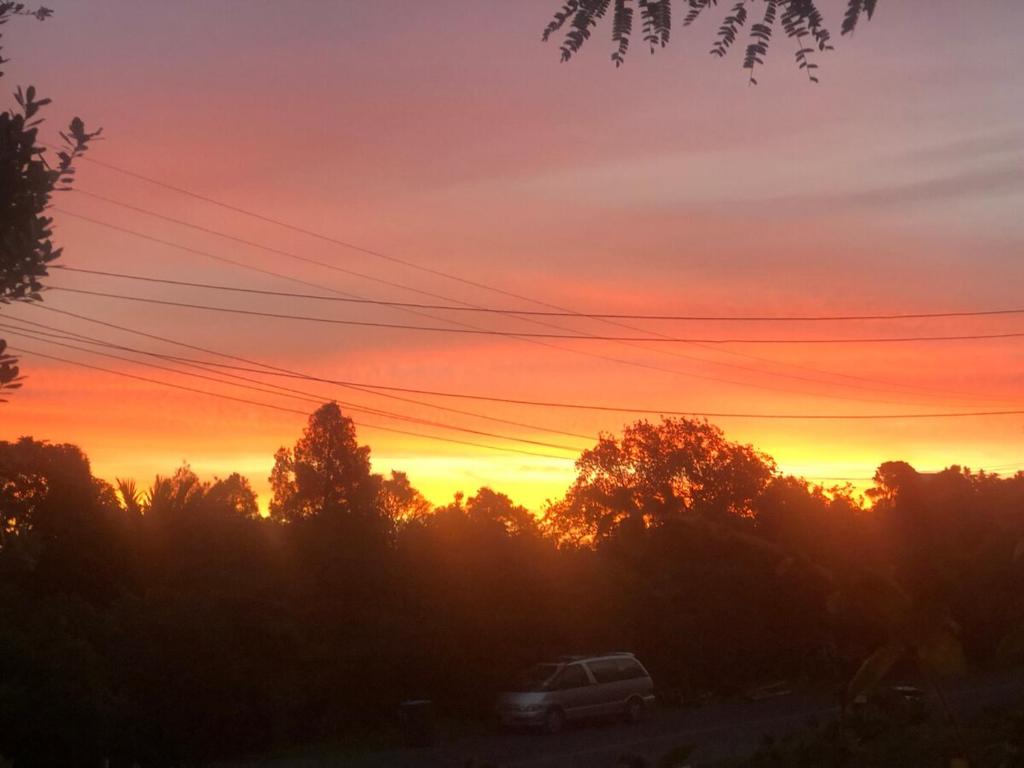 a sunset with a car parked in a field at Queens Drive in Oneroa