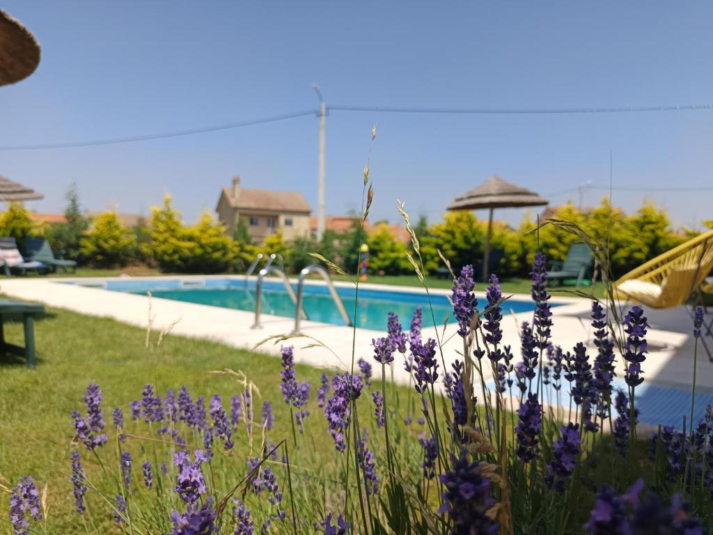 Casa D'Augusta - Agroturismo - 19