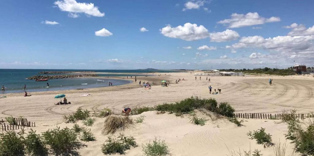 un groupe de personnes sur une plage de sable dans l'établissement Escapade à la plage de Sète, à Sète