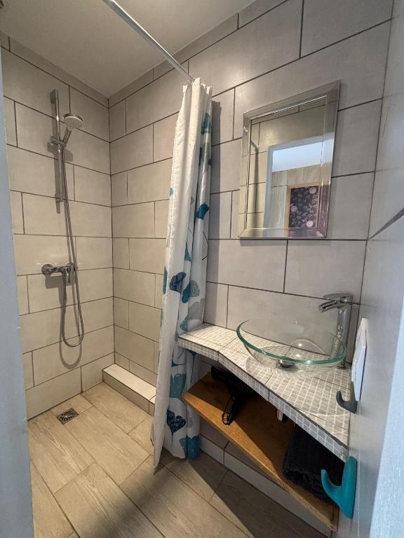 Koupelna v ubytování residence la Salamandre kamers