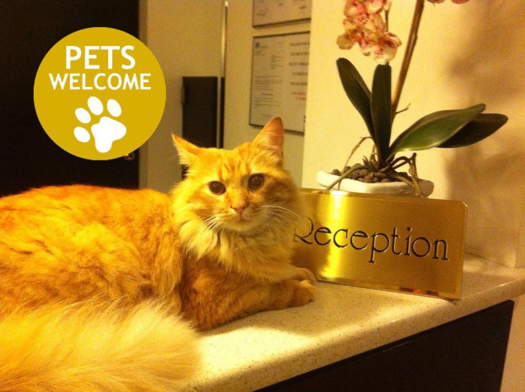 Hotel Paradiso - Resim 41