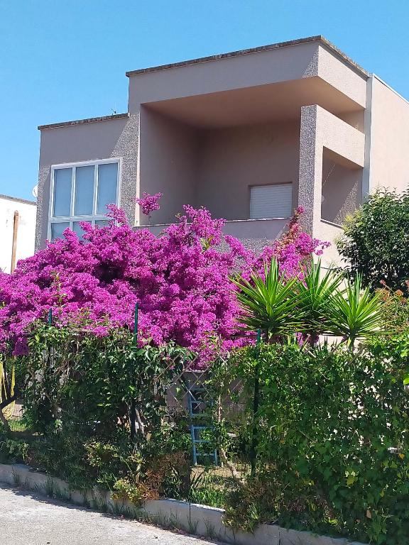 Zahrada ubytování Cinzia House