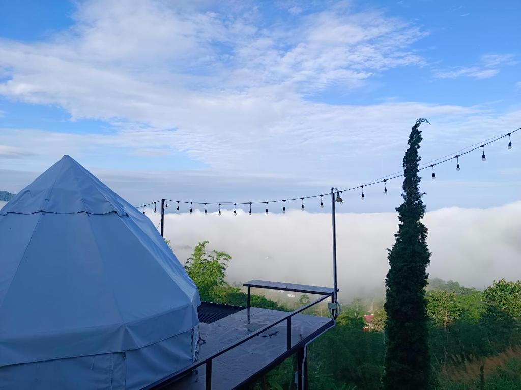 Příroda nedaleko luxury tent
