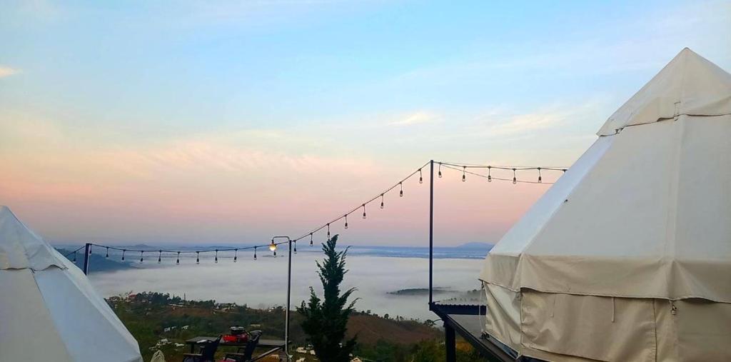 Příroda nedaleko luxury tent