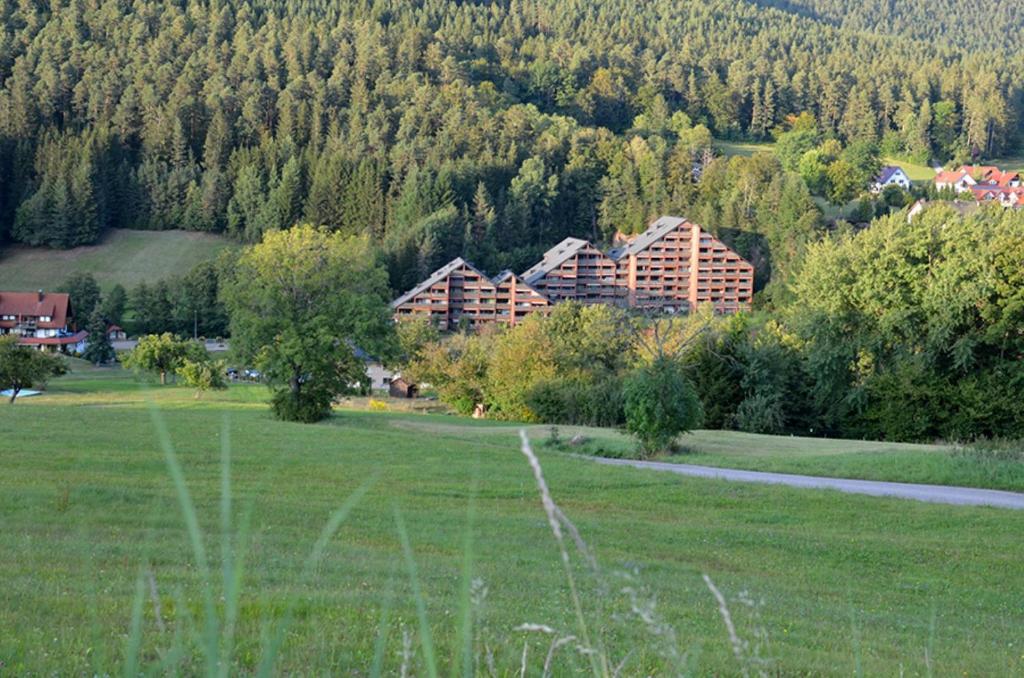 a large grass field with buildings in the background at Erholung pur bieten Schwarzwaldoase und Murgidylle in Baiersbronn