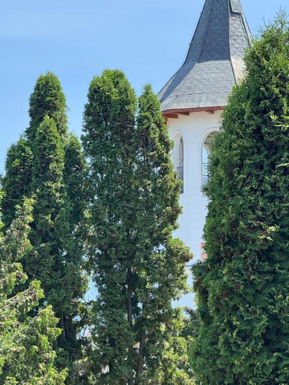 Vườn quanh Retro Lounge