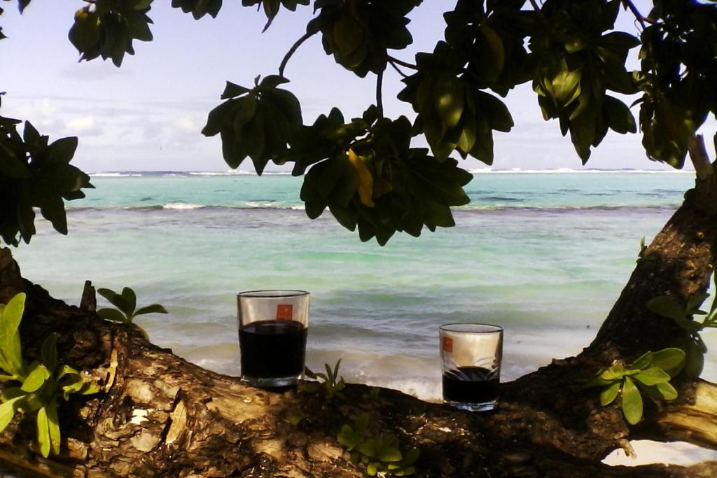two glasses sitting on a tree branch overlooking the beach at B & Bee Wild Island - Nature Song in Fare