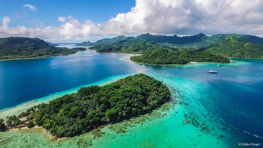 an island in the water with a boat in it at B & Bee Wild Island - Nature Song in Fare
