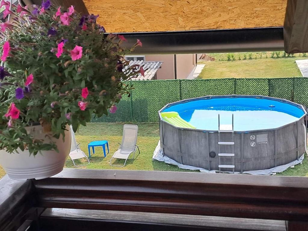 Bazén v ubytování Apartman Dimitrijevic nebo v jeho okolí