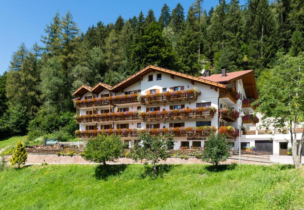 Příroda nedaleko hotelu
