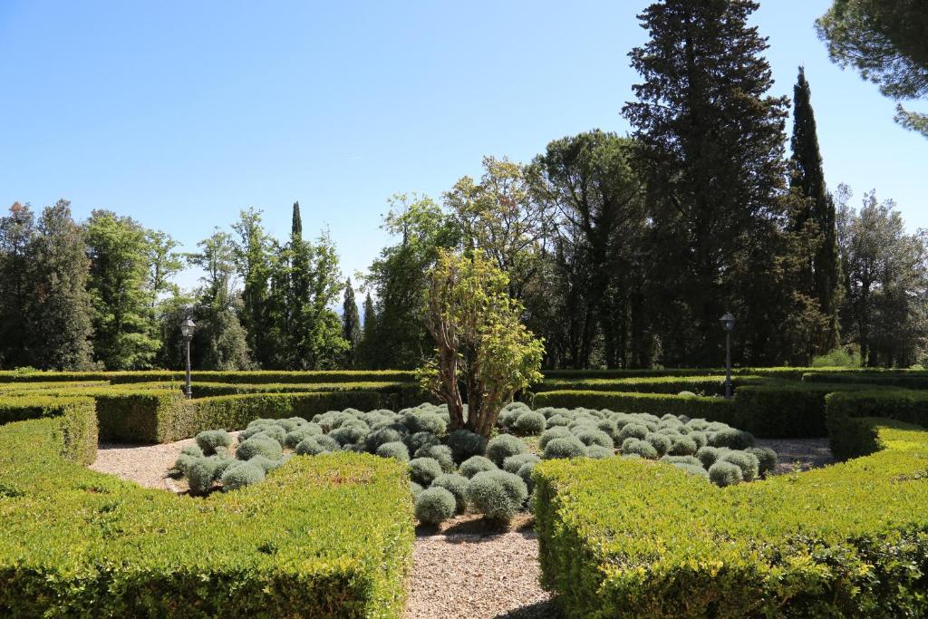 Zahrada ubytování Hotel La Collegiata