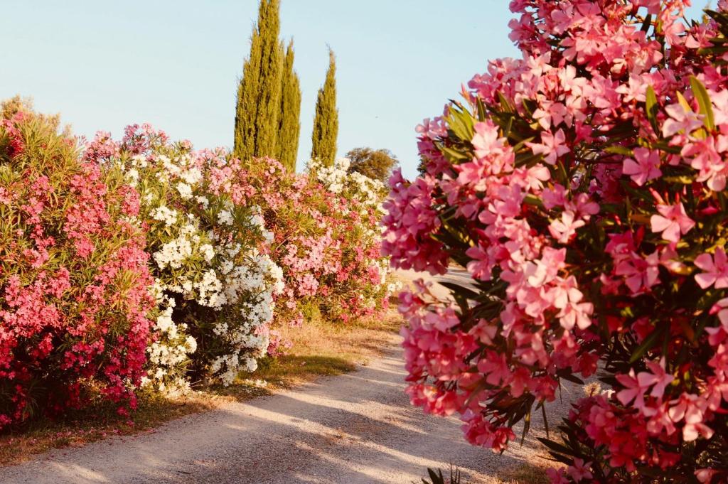 Zahrada ubytování I Puntoni Agriturismo