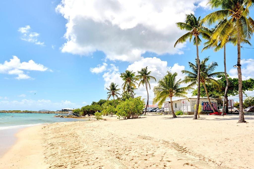 Příroda nedaleko vily