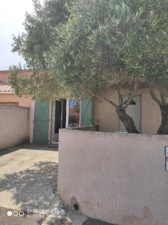un arbre devant un bâtiment avec un mur dans l'établissement A quelques pas de la mer, à Saint Cyprien Plage