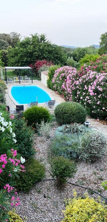 - une piscine dans un jardin fleuri dans l'établissement Mare a Mare, à Porto-Vecchio