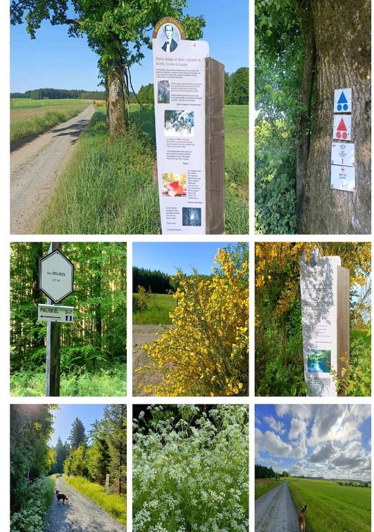 Fotografie z fotogalerie ubytování La clef des bois v destinaci Paliseul