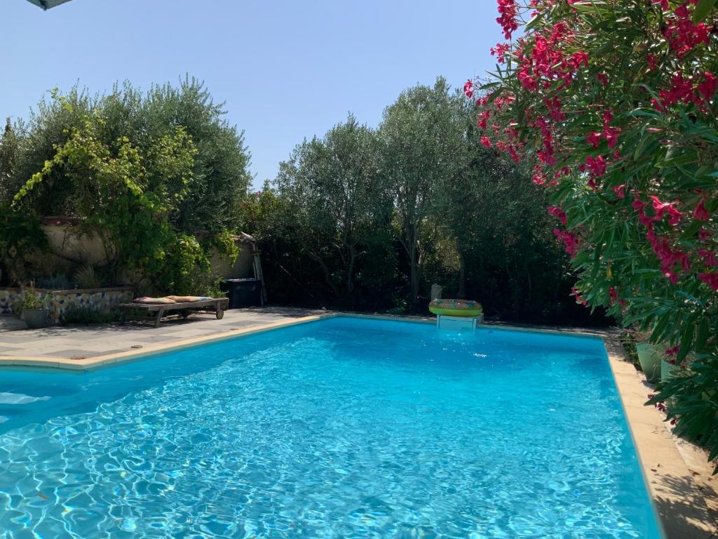 une piscine dans une cour fleurie dans l'établissement Maison avec piscine en Drome provençale, à Saint-Maurice-sur-Eygues