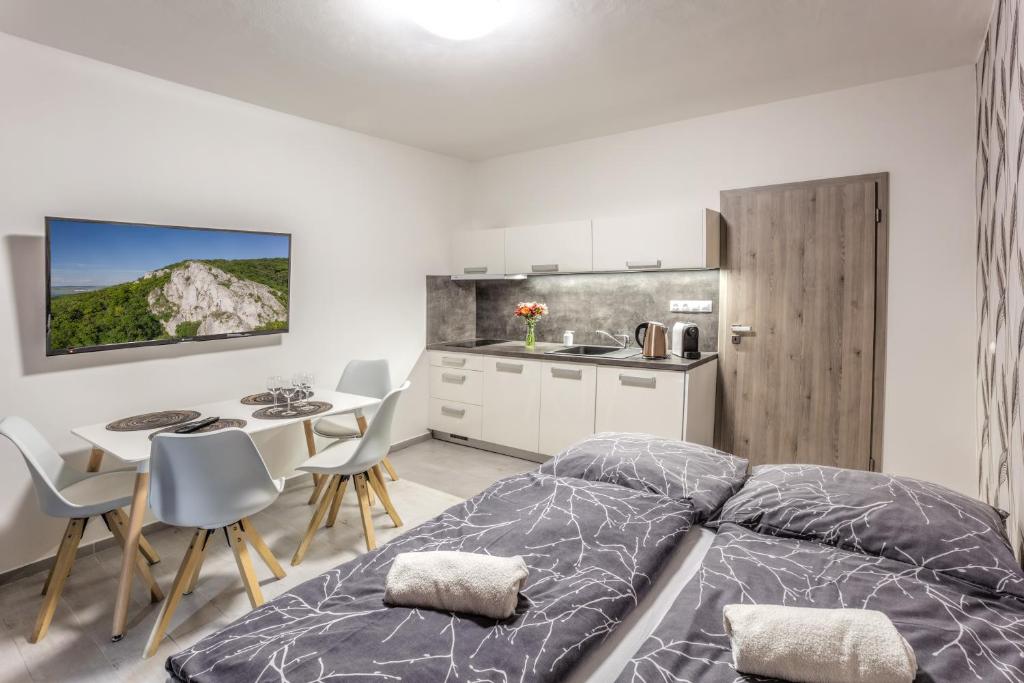 Kuchyň nebo kuchyňský kout v ubytování Apartmány pod Pálavou