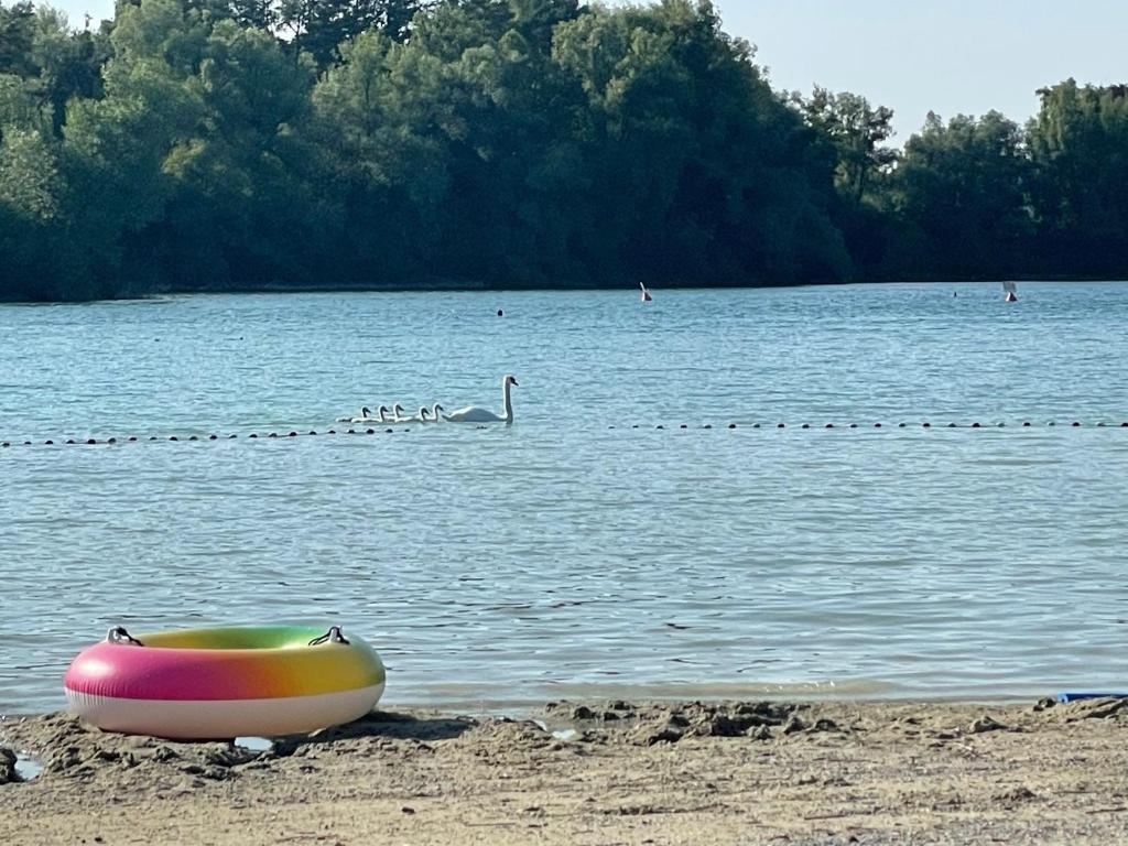 a colorful boat sitting on the shore of a lake at Schlossseeapartment in Salem