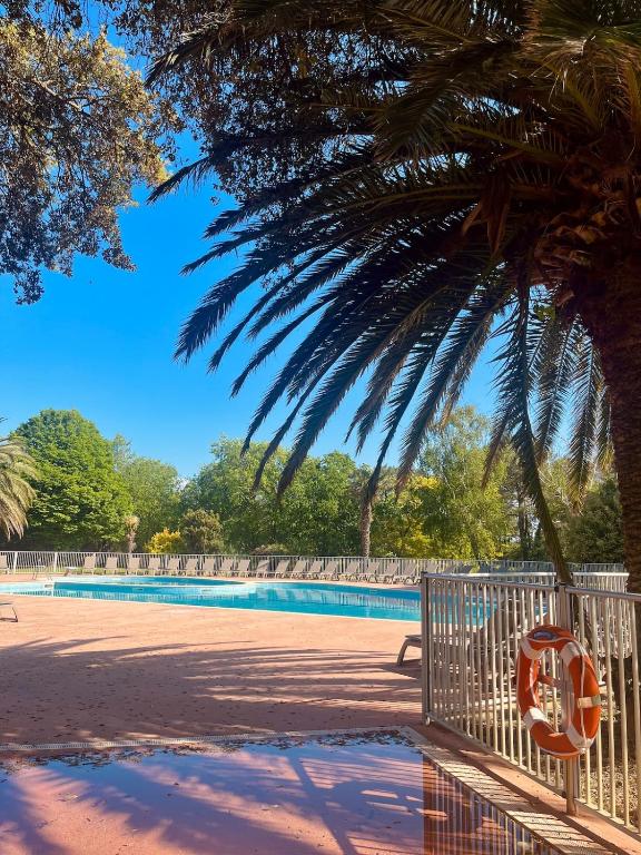 une piscine avec un palmier et une clôture dans l'établissement Cocoon Albatros, Golf view, pool, pine trees and ocean, à Moliets-et-Maa
