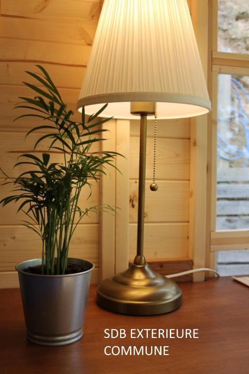 une lampe assise sur une table à côté d'une plante en pot dans l'établissement La cabine du capitaine 4m² - SDB partagée extérieure, à Chavagne