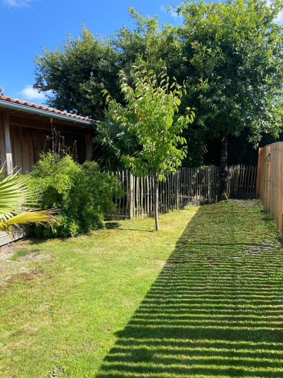 une cour avec une clôture et un arbre dans l'établissement La cabane des Esteys, à Arès