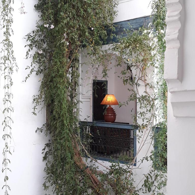 Zahrada ubytování Riad Dar Oulhoum