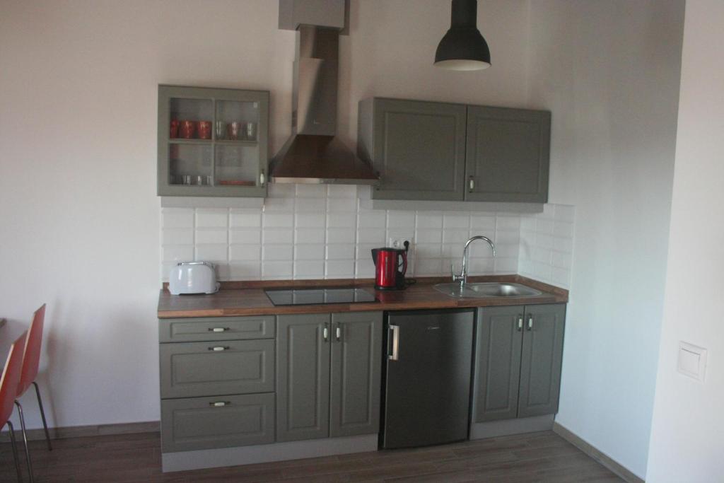 Kuchyň nebo kuchyňský kout v ubytování Malomkő Apartman