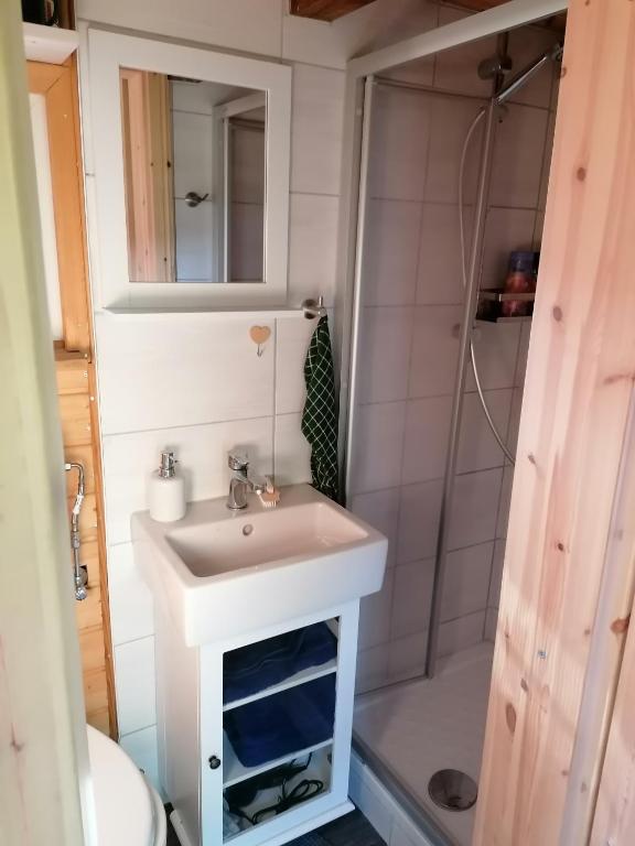 Koupelna v ubytování Weidmannsruh Natur pur - exklusives Tiny house